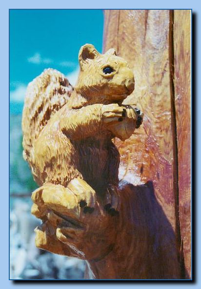 2-38 squirrel-archive